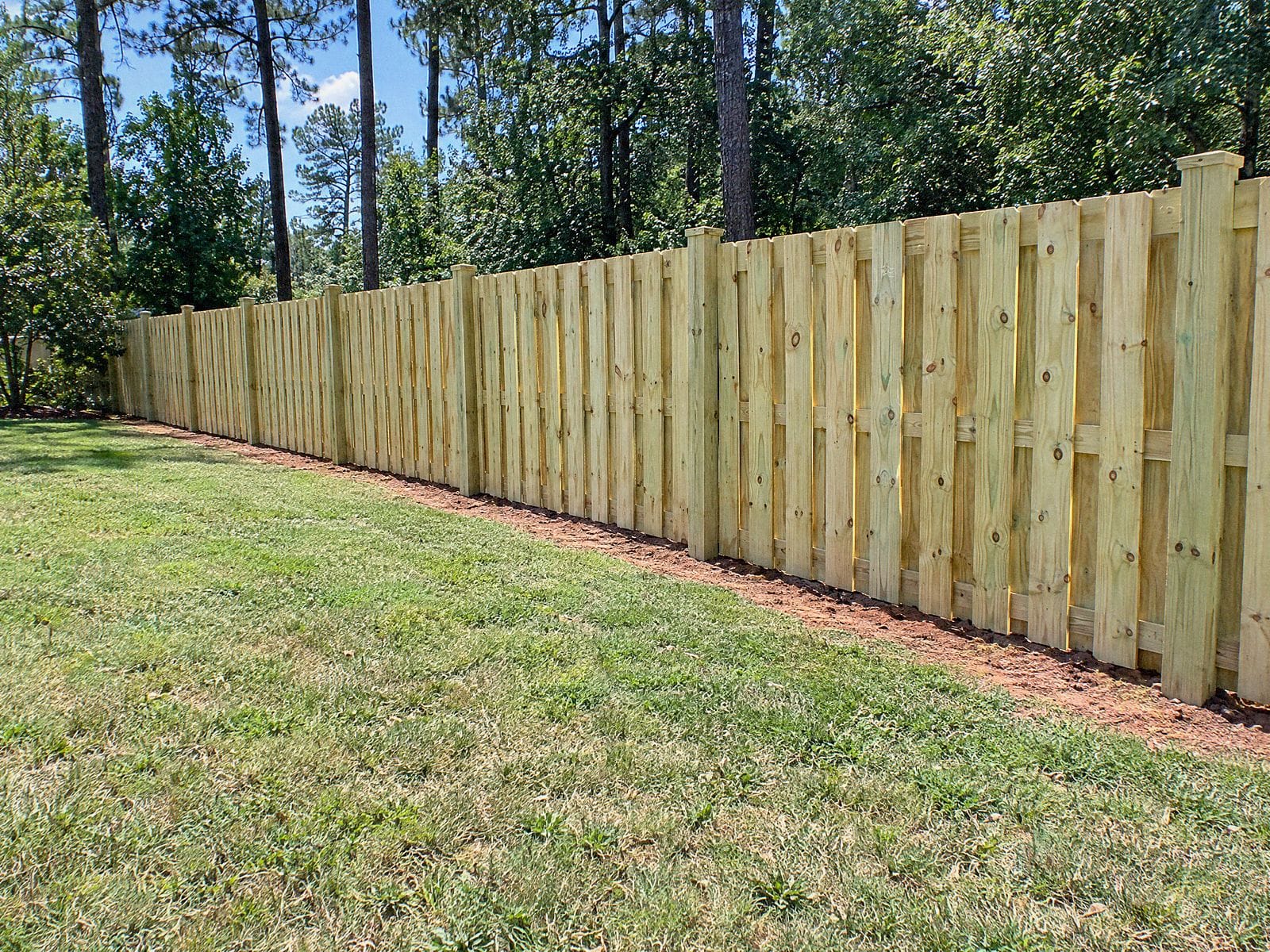 Long shadowbox wood fence along the back of a lawn, with pines and hardwoods behind it