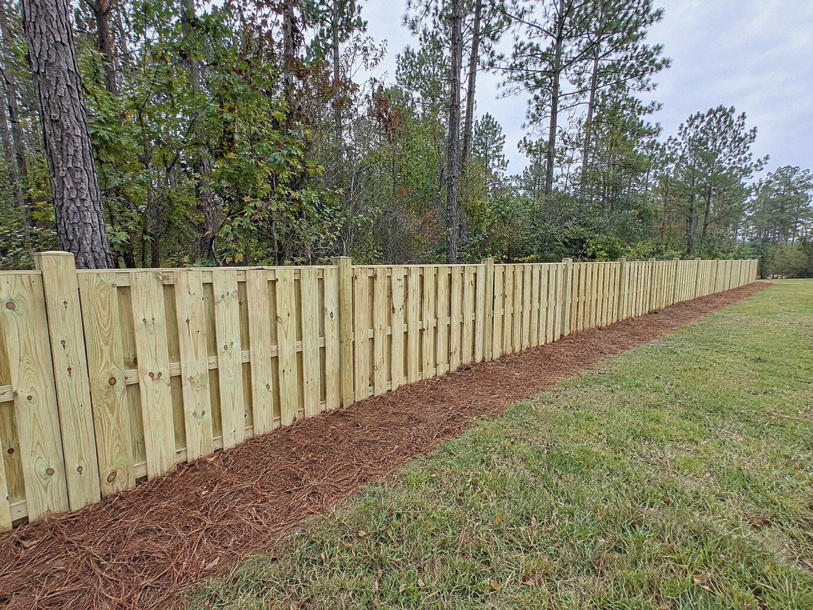 Shadowbox wood fence along the edge of the woods, with pine straw on the ground